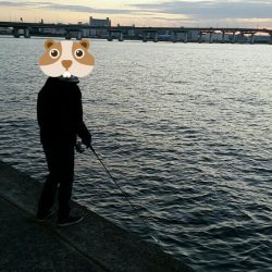 息子とその友達たちと朝マズメ釣行。今日も活況でした。